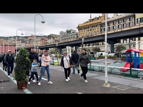 Видео: Лучшая подборка бушменов: появилась из ниоткуда!!!
