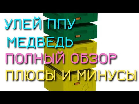 Видео: УЛЕЙ ППУ МЕДВЕДЬ. ПОЛНЫЙ ОБЗОР. ПЛЮСЫ И МИНУСЫ.