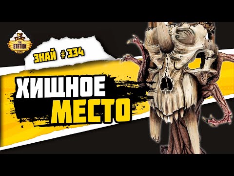 Видео: Мир Гур - Владение Зверей  | Знай #334 | Age of Sigmar