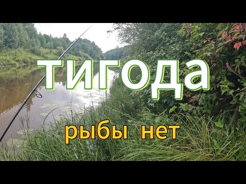 Видео: Река Тигода.Рыбы нет...