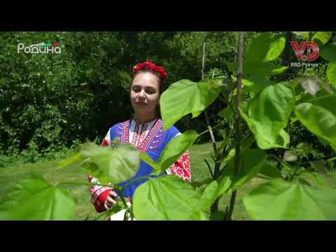 Видео: В село дюлгери дойдоя - Ася Асенова