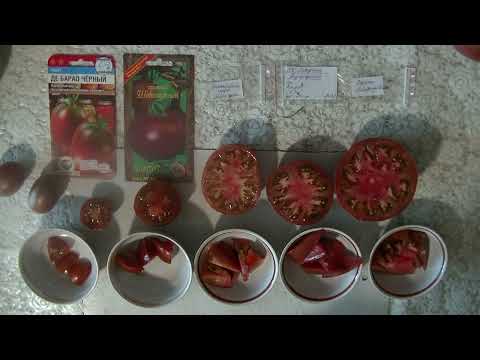 Видео: Дегустация помидоров 2025 № 37