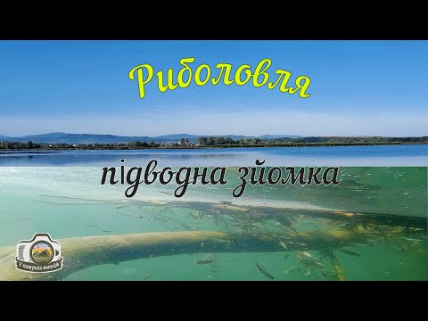 Видео: 3 в 1⚡️ Риболовля. Підводна зйомка. Водосховище.