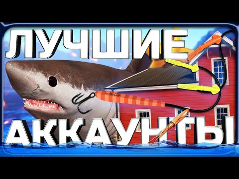 Видео: ЛУЧШИЕ ИГРОКИ В РР4 С НЕВЕРОЯТНЫМИ ТРОФЕЯМИ #3