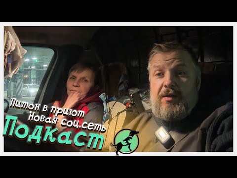 Видео: Наши новости / Новая соцсеть/ Новоселье под угрозой/ Морозостойкий питон