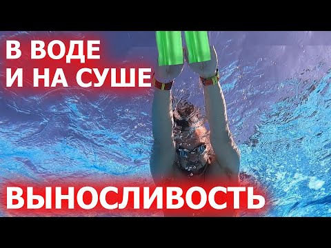 Видео: Как тренировать выносливость пловцу| Научиться плавать долго