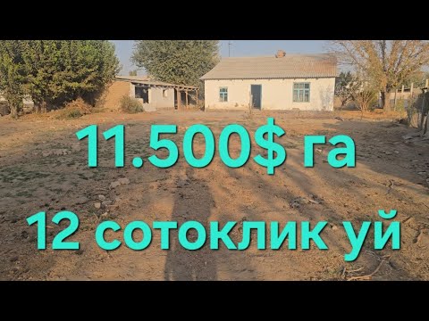 Видео: Уй сотувга койилди АРЗОНи факат Бизнинг каналда