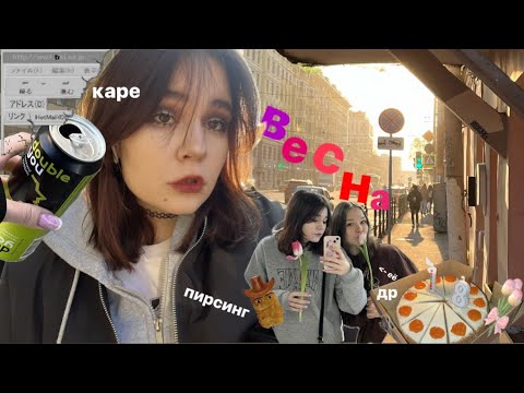 Видео: живу и не думаю о ЕГЭ неделю (в принципе как всегда, но интереснее)🤫🧏‍♀️