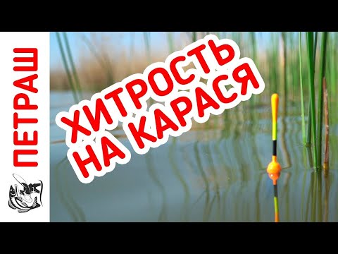 Видео: Рыбалка НА КАРАСЯ! Рвём красного и КАРАСЬ ДУРЕЕТ!