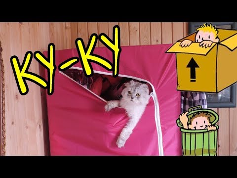 Видео: ПРЯТКИ в нашем ДОМЕ! HIDE and SEEK in my HOUSE