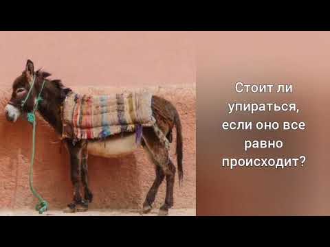 Видео: Расслабься и получай удовольствие. Стоит ли упираться, если оно все равно происходит? 