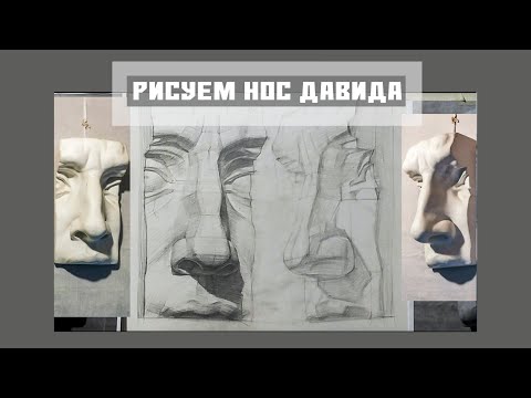Видео: Рисуем нос Давида