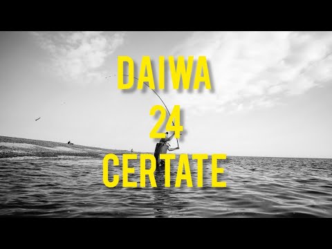 Видео: Daiwa 24 Certate, где он стал лучше ? Посмотрим и разберемся