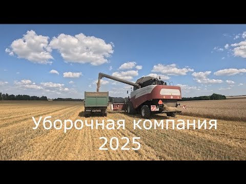 Видео: КФХ : Уборочная. 1 серия Пшеница