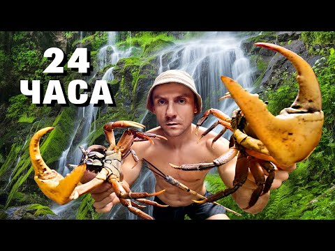 Видео: 24 ЧАСА В ЛЕСУ -В ПОИСКАХ КРАБОВ (ВЫЖИВАНИЕ) [8-Часть]
