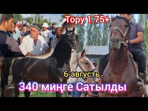 Видео: Ноокатта 1.75+ Тору Ат 340 миңге Сатылды 😱 Соода Кызыды пай пай паай