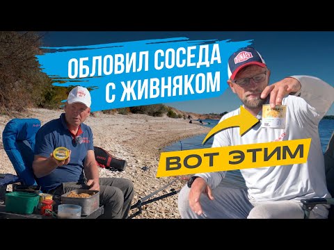 Видео: Как ОБЛОВИТЬ СОСЕДА если вместо ЖИВОГО КОМПОНЕНТА кормить КУКУРУЗОЙ