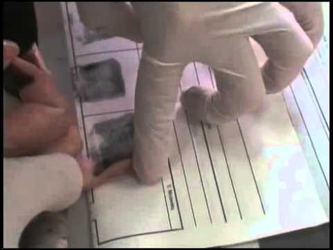 Видео: Правила дактилоскопирования живых лиц