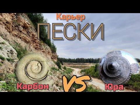 Видео: Поиск окаменелостей в карьере Пески. Юрский и Каменноугольный периоды.