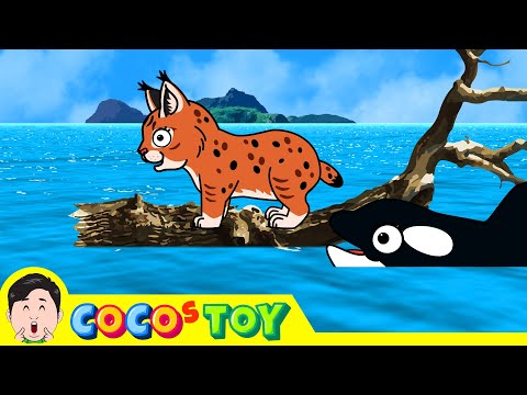 Видео: Морской дрейф рысиㅣИмя животных, Дети мультяшекㅣCoCosToy