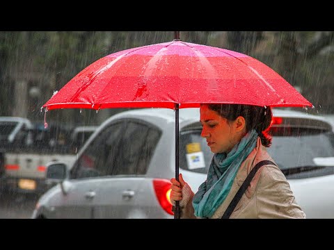 Видео: 100% людей делают это 100% времени — Создатели, послание Дэниела Скрантона, 6 ноября