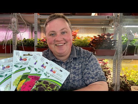 Видео: Первые семена к новому сезону 😍