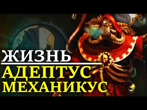 Видео: ПОВСЕДНЕВНАЯ ЖИЗНЬ АДЕПТУС МЕХАНИКУС! (WARHAMMER 40000)