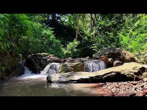 Видео: Медитация, концентрация, учёба и расслабление под шум речной воды | ASMR