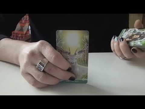 Видео: Вы любовница (конфетка, прелесть, забавушка)❤️❤️❤️