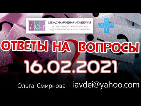 Видео: Ответы на вопросы