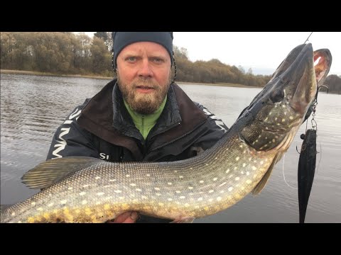 Видео: Ловля ОЗЁРНОЙ ЩУКИ на Pig Shad! Рыбалка на спиннинг в октябре! ЩУКА на ДЖИГ и КРУПНЫЙ силикон!