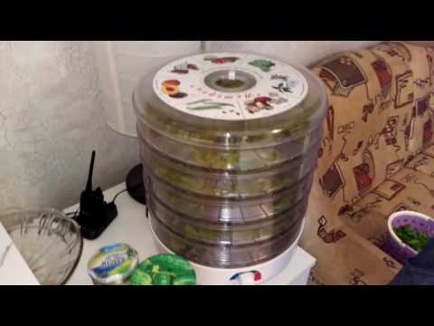 Видео: Сушилка для трав, фруктов и овощей обзор