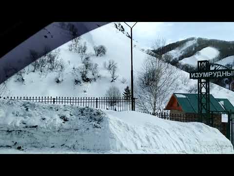 Видео: Дорога от Альп до конного двора. 8 февраля 2020 г.