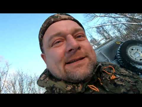 Видео: Зима, тайга. Кормим зверя.