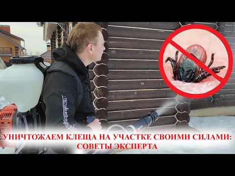 Видео: Можно ли уничтожить клеща на дачном участке