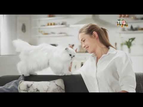 Видео: Анонсы, рекламные блоки и новогодние заставки (ТВ Центр, 21.12.2020)