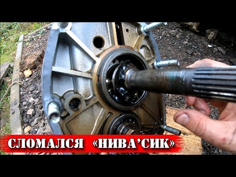 Видео: Сломался Нивасик. Неделя без копа!