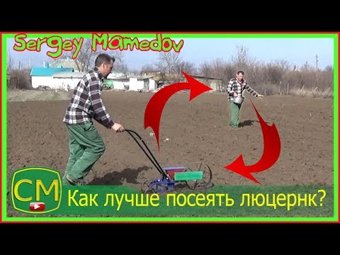 Видео: ➤КАК ЛУЧШЕ СЕЯТЬ ЛЮЦЕРНУ? ОДНОРЯДНОЙ СЕЯЛКОЙ ИЛИ ВРУЧНУЮ? Люцерна.