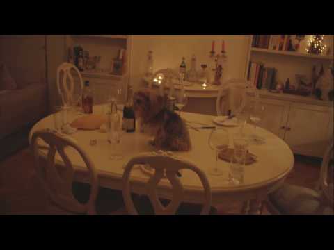 Видео: СТРУГАРЕ - АМЕРИКА