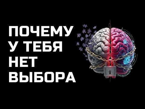 Видео: Что управляет тобой? Иллюзия выбора | Проект «Я»
