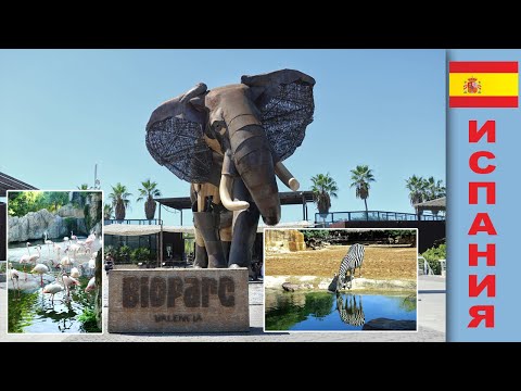 Видео: Биопарк Валенсии (Bioparc Valencia)