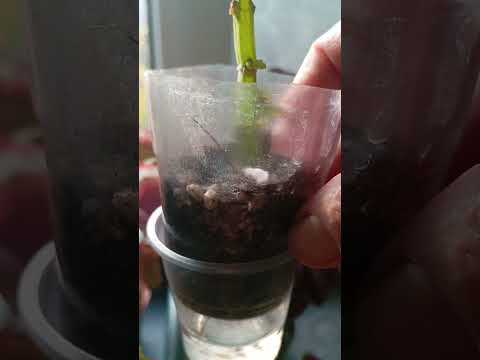 Видео: все успеть,чтобы зимой не сожалеть.