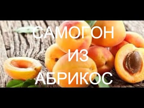 Видео: Самогон из абрикос. Часть 1