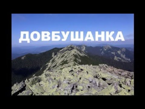 Видео: Найкрасивіша гора Карпат. Похід на Довбушанку з дитиною. Довбушанка з Буковелю. Карпати, Горгани.