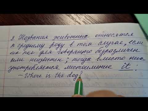 Видео: РОД Часть 1 имён существительных.Английский язык. Грамматика.