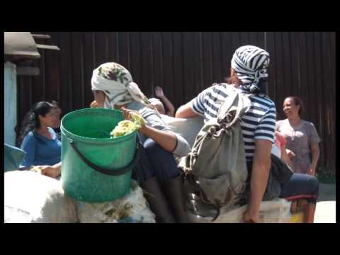 Видео: НАХРАНИ БЛИЖНИЯ 01