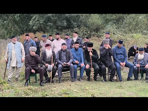 Видео: Элистанжи. Дидиева Марха д1а кхелхина и д1а йерзош хилл долу тезет .