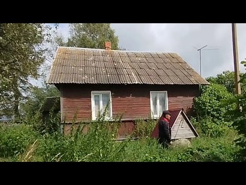 Видео: Уй 32м²  Ери 50 соток, 250.000 руб 3.100$ Уй 32м².  Мактаб, Богча,  ГАЗ. Псков обл Новосокол р-н Бор