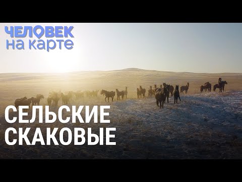 Видео: Лошади для скачек в Хакасии | ЧЕЛОВЕК НА КАРТЕ