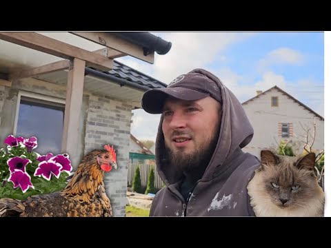 Видео: 🏡 ЗАГОРОДНАЯ ЖИЗНЬ молодой белорусской СЕМЬИ! Сеем ПОМИДОРЫ 🍅 на РАССАДУ 🌱 почти В НОЯБРЕ!🍁